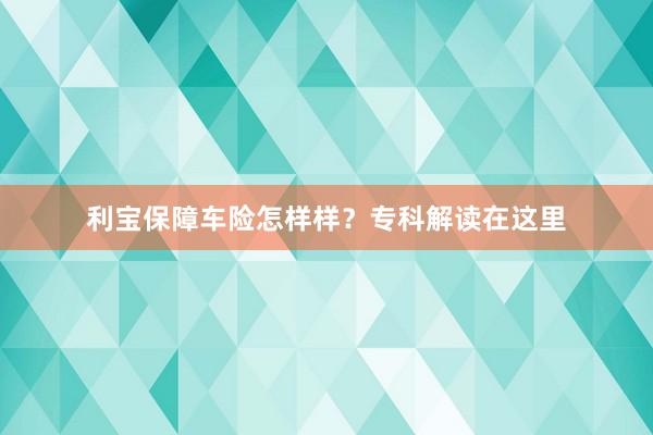 利宝保障车险怎样样？专科解读在这里
