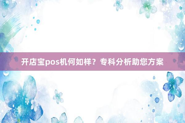 开店宝pos机何如样？专科分析助您方案
